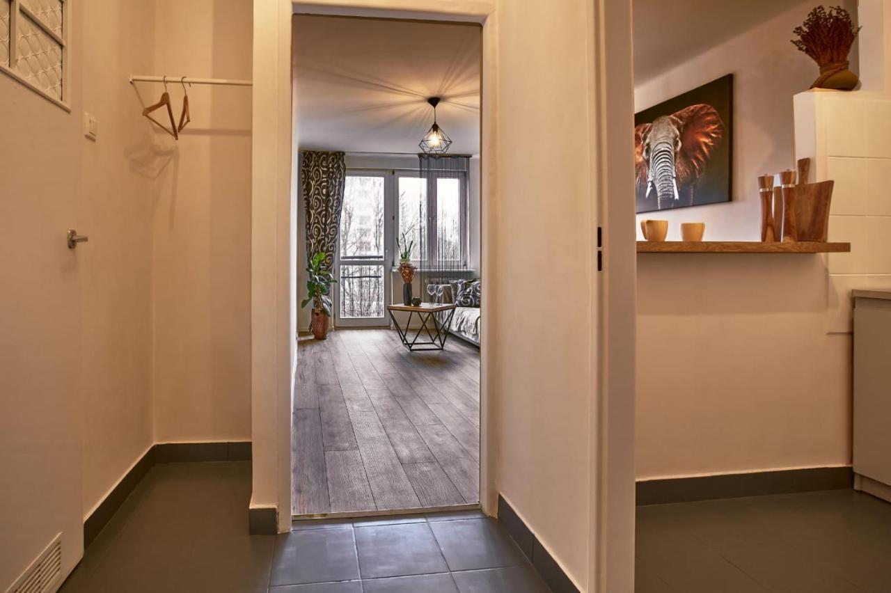 Sienkiewicza Apartament Multi House Rzeszów Eksteriør bilde