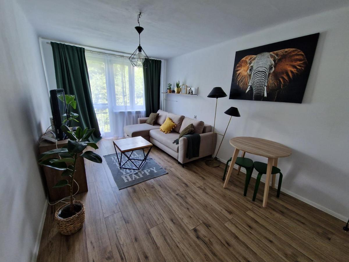 Sienkiewicza Apartament Multi House Rzeszów Eksteriør bilde