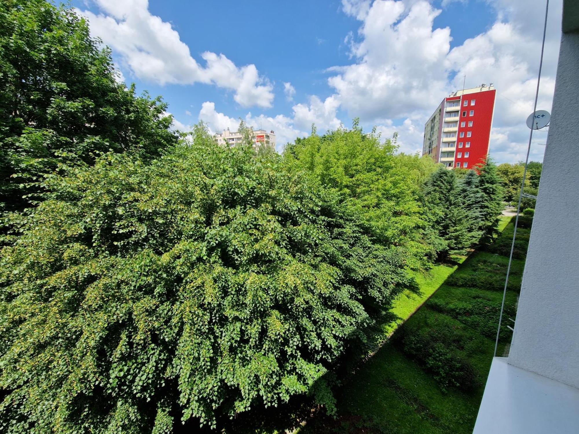 Sienkiewicza Apartament Multi House Rzeszów Eksteriør bilde